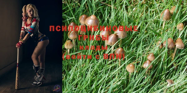 не бодяженный Елизово