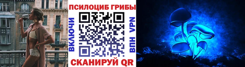 Купить закладки Нижнеудинск Псилоцибиновые грибы прущие грибы